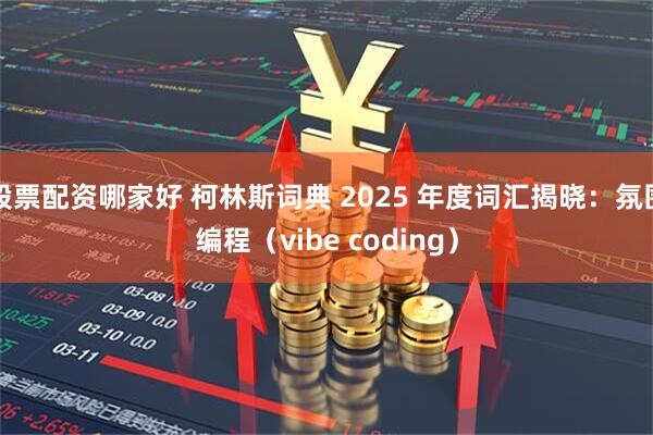 股票配资哪家好 柯林斯词典 2025 年度词汇揭晓:氛围编程(vibe coding)