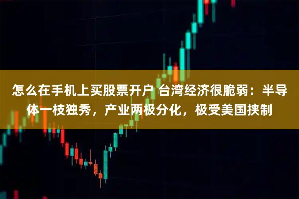 怎么在手机上买股票开户 台湾经济很脆弱：半导体一枝独秀，产业两极分化，极受美国挟制